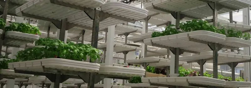 Alpha Conveyor system