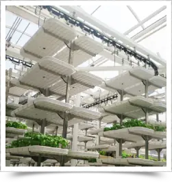 Alpha Conveyor system