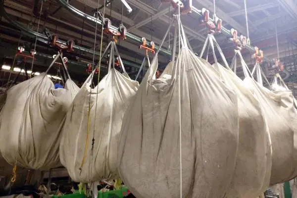 Alpha Conveyor system